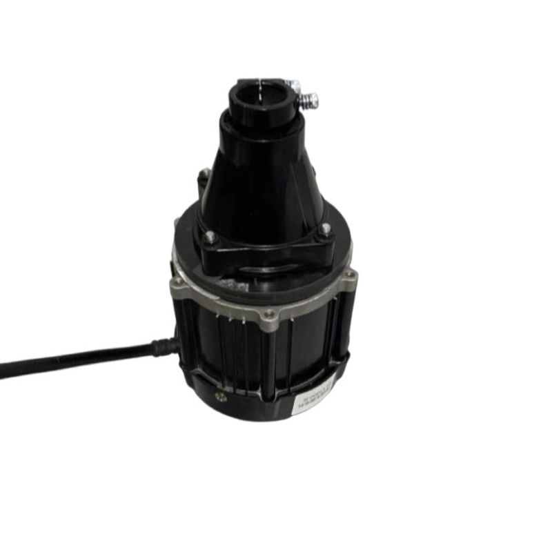 Motor de popa sem escova de 12 - Fishing Boat Trailer avaliação e preço